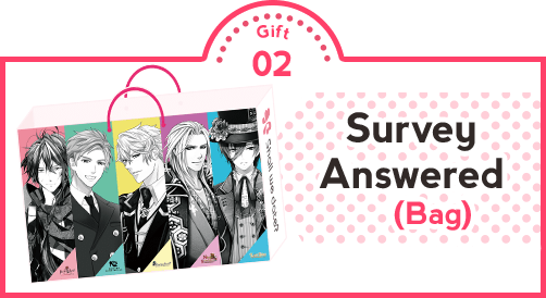 Gift 02: Survey Answered - Bag